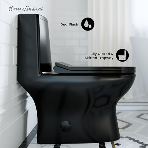 Ivy One Piece Toilet Dual Vortex Flush in Glossy Black 1.1/1.6 gpf - color: Glossy Black, size: 12" Rough-in