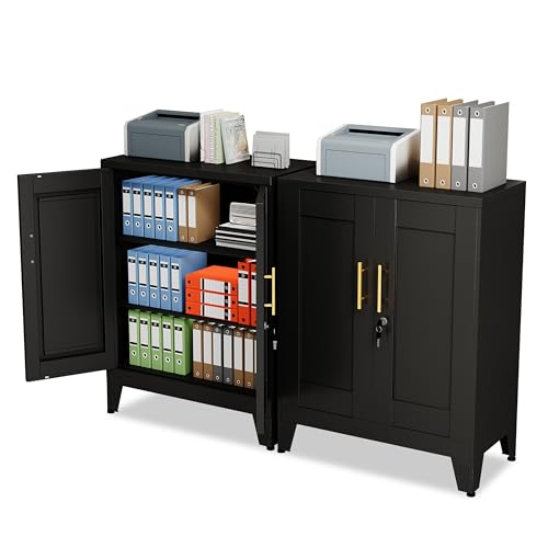 GAIOUS Black Metal File Cabinet with Lock(Two Units), Steel Storage Cabient | with 2 Doors and 2 Adjustable Shelves, Multifunctional Locked Cabinet for Home/Office/Garage/Tool Room, Accent Furniture - color: Black(two Units), size: 13.78"D x 27.56"W x 35.