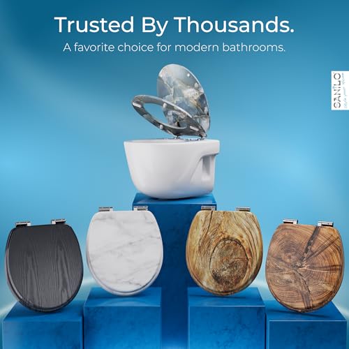 SANILO Wooden Toilet Seat with Soft Close [ROUND] - Decorative, Quiet & Slow Close Molded Wood Seat - With Strong Bumpers & Hinges - Adjustable Fit – Beach - color: Beach
