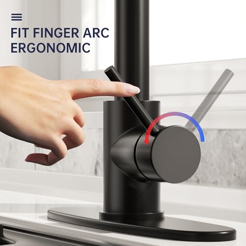 Kitchen Faucet with Pull Down Sprayer, Single Handle Pull Down Spring Sink Faucet, 1 Hole or 3 Hole Dual Function Sprayer for Farmhouses, Utility Rooms, RV's and Bars - color: Matte Black, style: Spring