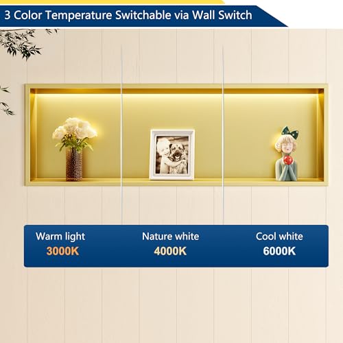 36"x12" Gold LED Shower Niche,3 CCT Dimmable Light, No Tile Needed | 304 Stainless Steel Bathroom Niche w/ Light(3000K/4000K/6000K), IP66 Waterproof, Space Saving & Durable ,LED Driver Included - color: Brass Gold, size: 36X12In