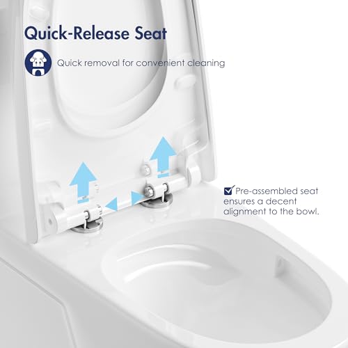 One Piece Toilet Elongated Dual Flush, 17.3" ADA Seat, White | ADA Compliant 17.3" chair height with soft close seat, Dual flush 1.1/1.6 GPF, Elongated toilet bowl, 12" rough-in, White - color: White 365Model