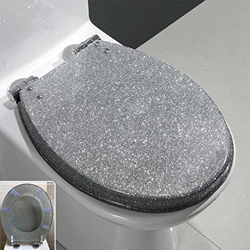Black Quick Release Toilet Seat with 360 Degree Adjustable Hinge, Easy Clean, Oval Shape, Simple Top and Bottom Fixing - color: Silver