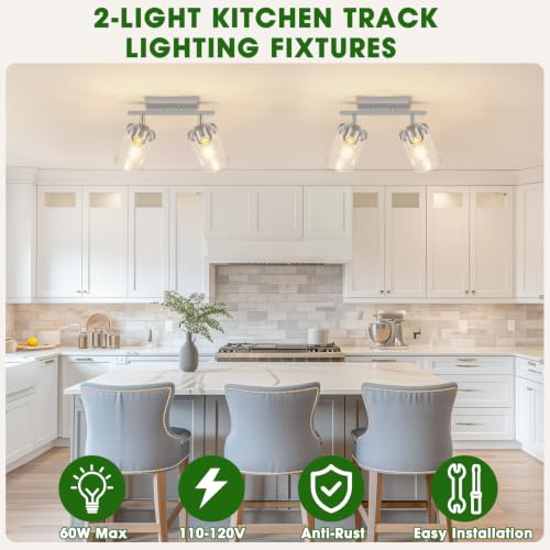 FadimiKoo 2-Lights Brushed Nickel Kitchen Track Lighting Fixtures Ceiling Mount, Adjustable Hallway Light Fxitures with Clear Glass Shade, Modern Spotlight Fixtures for Living Room Foyer Stairway - color: Brushed Nickel, size: 2-Lights