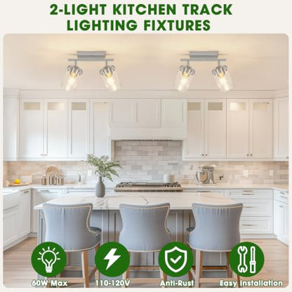FadimiKoo 2-Lights Brushed Nickel Kitchen Track Lighting Fixtures Ceiling Mount, Adjustable Hallway Light Fxitures with Clear Glass Shade, Modern Spotlight Fixtures for Living Room Foyer Stairway - color: Brushed Nickel, size: 2-Lights
