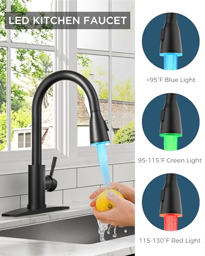 FORIOUS Kitchen Faucet with LED Light Sprayer, Single Hole, Black | Stainless Steel LED Sink Faucet with Pull Down Sprayer, High Arc Single Handle, Suitable for Farmhouse Laundry Camper Rv Bar - color: Matte Black
