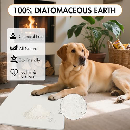 Newest Diatomite Stone Pet Feeding Mat for Dog&Cat–Super Absorbent Diatomite Fast Drying Stone Dog Food Mat, Quick Dry Dog Mats for Food and Water with Non-Slip Pad (24×16'', Off White, Square) - color: Off White Square