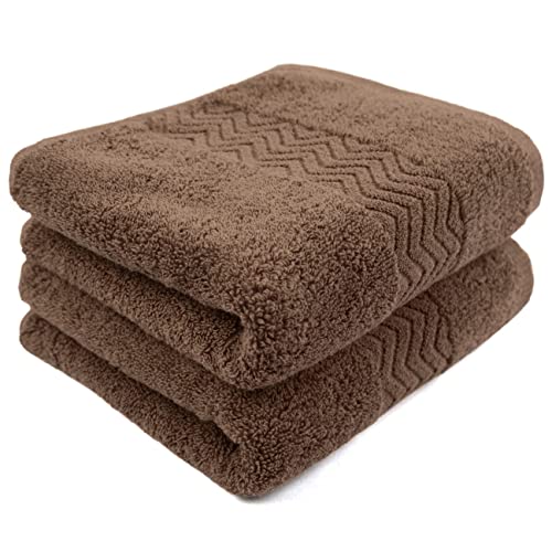 Cleanbear Bathroom Hand Towels, 100% Cotton Face Towels, 13” x 28” (Brown) | Soft Lightweight Quick-Drying Hand Towels Set of 2, Ideal for Hand, Face, Bath, Kitchen, Guests - color: Brown