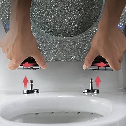 Black Quick Release Toilet Seat with 360 Degree Adjustable Hinge, Easy Clean, Oval Shape, Simple Top and Bottom Fixing - color: Silver
