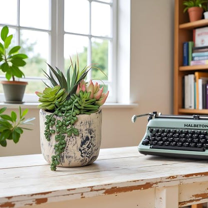 Succulents Plants Artificial, Faux Succulent Plants in Elegant Ceramic Pot Assorted Faux Potted Succulent Plant for Home Living Rooms Bedroom Décor (7.9)