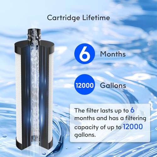 Lifefilter Carbon Shower Head Filter, 2.0 Carbon Shower Filter | Removes chlorine, heavy metals and other impurities from the water, improving dry skin and hair (2 Pack) - style: Carbon Replacement Filter