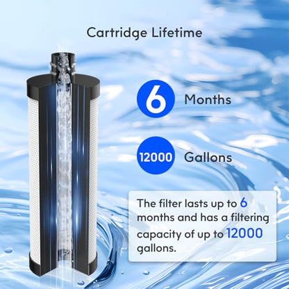 Lifefilter Carbon Shower Head Filter, 2.0 Carbon Shower Filter | Removes chlorine, heavy metals and other impurities from the water, improving dry skin and hair (2 Pack) - style: Carbon Replacement Filter