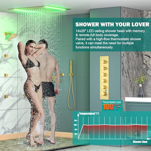 HOMEDEC Bathroom Shower Faucet Set with 14x20inch LED and Dual 6inch Shower Heads, 5 Way Thermostatic Diverter Valve Shower Valve Kit, Brushed Gold - color: Brushed Gold, style: 5-Way + 2x 6" Top