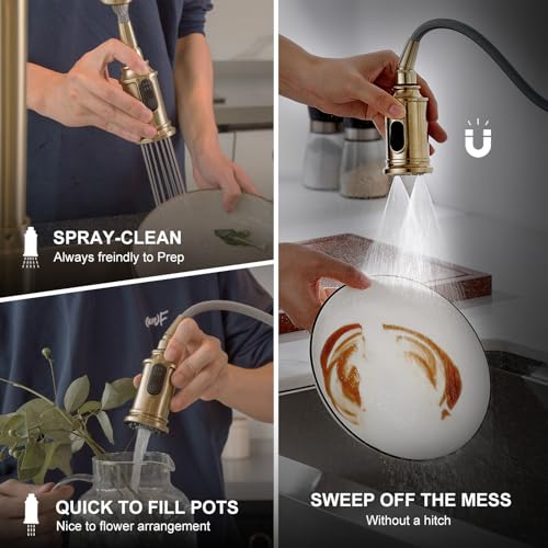 Lava Odoro Champagne Gold Kitchen Faucet with Pull Down Sprayer | Single Handle Kitchen Sink Faucet with 3-Function Magnetic Sprayer for Sink 1 Hole, 1.8 GPM, Deck Plate Included, KF421-M-CB - color: Champagne Gold, style: 3-Mode, Magnetic