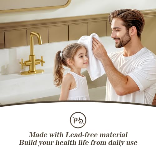 Phiestina Brushed Gold 2-Handle 4 Inch Centerset Single Hole Bathroom Faucet with Drain,Deck Plate and Supply Hoses, Fit for 1 or 3 Hole, SGF002-10-BG