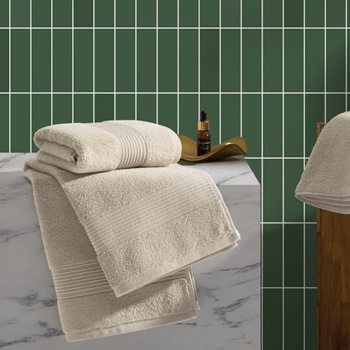 Ted Baker 2-Pack Hand Towel Set Cotton Highly Absorbent 18 x 28 Tan Beige - color: Tan, size: Hand Towel Set - 2 Piece