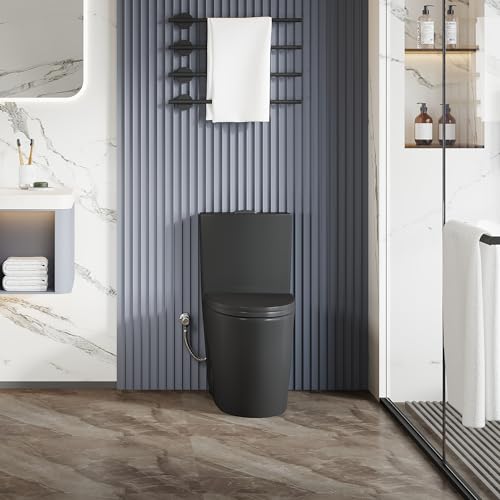 Elongated One Piece Toilet, Dual Flush 1.1/1.6 GPF, Matte Black | ADA Compliant 17" chair height bowl, Powerful siphon dual flush, 12" rough-in, comfort soft closing seat, Matte black toilet - color: Matte Black