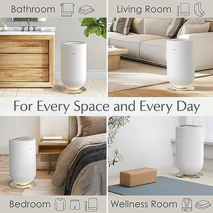 Pure Enrichment PureBliss Luxury Towel Warmer - Extra Large 20L Heats Towels, Robes, Blankets, or Clothing - Modern Bucket Design, 4 Heat Timer Settings & Auto Shut-Off (White & Brushed Gold) - color: White & Brushed Gold