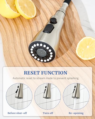 Kitchen Faucet Head Replacement, 15 Adapters, 3-Mode Pull Down Sprayer Head | 3 Functions Stream Spray Pause, Easy 5-Min Install, Pull Out Nozzle, Brushed Nickel, Compatible with Moen Delta Hansgrohe - color: Brushed Nickel