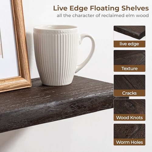 24 inch Floating Shelves for Wall Live Edge, Walnut, 2PCs | 8'' D Rustic Solid Elm Wood, Wall Mounted, Wall Shelves, Invisible Bracket, Living Room Bedroom Kitchen - color: Walnut Live Edge, size: 24x8x1.4in, Set of 2