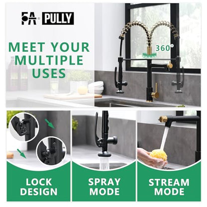 Fapully Black&Gold Kitchen Faucet with Sprayer,Commercial Pull Down | Kitchen Faucet for Kitchen Sink, 360 Swivel Sinlge Handle Single Hole - color: Black&Gold, style: Classic