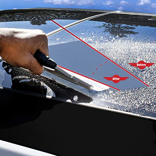Detailer's Preference Silicone Water Blade Windshield Squeegee for Cars, Streak-Free Drying Tool for Glass, Paint, and Chrome, Flexible Edge for Auto Detailing Professionals, 12.25-Inch - size: Standard