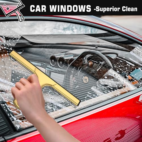 All-Purpose Shower Squeegee for Shower Glass Doors with 2 Adhesive Hook, Stainless Steel Squeegee for Bathroom, Household Window, Mirrors, Tiles and Car Windows 10 Inches, Clear, Golden
