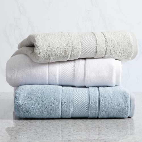 Luxury 100% Cotton Bath Towels Set | 4-Pack | Premium Grey | 700 GSM | Premium Bath Towels | Ultra Soft Thick Plush & Highly Absorbent | Luxury Hotel & Spa Bathroom Towels - color: High Rise Grey, size: 4 Pack Bath