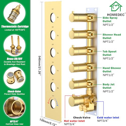 HOMEDEC 14x20inch and 6inch Shower System with Bathtub Spout, 5 Way Valve and 6 Body Jets, Rainfall Shower Head with Handheld Combo, Brushed Gold - color: Brushed Gold, style: 5-Way + 1x 6" Top + Spout