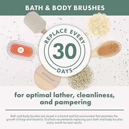 EcoTools Bristle Bath Brush, Shower Body Brush with Gentle, Stiff Bristles, Long Bamboo Handle, Gently Exfoliating for Back & Body, Stimulates Blood Circulation, Eco-Friendly, 1 Count (Pack of 2) - size: 1 Count (Pack of 2)
