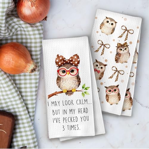 Owl Gifts Kitchen Towels Set - Owl Leopard Bow Decorative Waffle Dish Towels, Funny Bird Gifts Hand Towel, Bird Watching Gift Tea Towel, 16x24 Inch Set of 2 - color: Owl