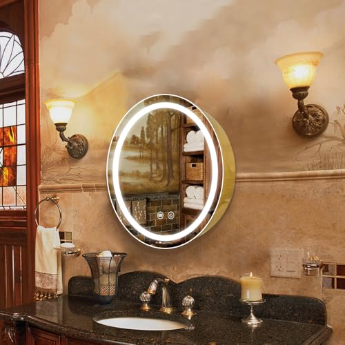 20inch Round Medicine Cabinet with Lights,Led Medicine Cabinet with Defogger,Illuminated Mirror Cabinet for Bathroom,Dimmable,Anti-Fog,3 Colors,Surface Mount Only,Gold - color: Gold, size: 20inch