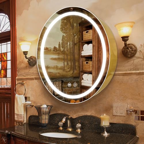 30 inch Round Medicine Cabinet with Lights,Led Medicine Cabinet with Defogger,Illuminated Mirror Cabinet for Bathroom,Dimmable,Defogger,3 Color Temperature 3000k-6500k Gold - color: Gold, size: 30inch