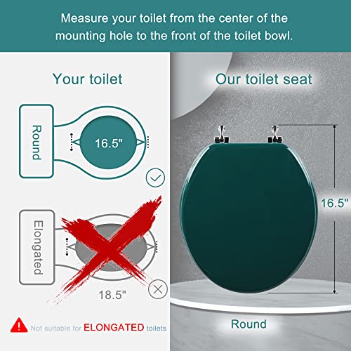 Angol Shiold Wood Toilet Seat, Zinc Alloy Hinges (Round, Dark Green) | Round Toilet Seat, Scratch Resistant Wood Surface, Easy to Install and Clean - color: Dark Green, size: Round