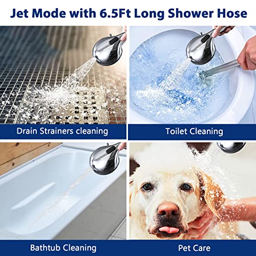 High Pressure 10 Setting Handheld Shower Head, 5" Detachable Showerhead Spray Built-in Power Wash to Clean Tub, Tile & Pets, 79" Extra Long Stainless Steel Hose, Adjustable Bracket - Chrome - color: Chrome