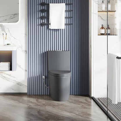 Elongated One Piece Toilet, ADA Dual Flush 1.1/1.6 GPF, Dark Gray | ADA 17" chair height, Powerful siphon dual flush, 12" rough-in, Bathroom toilet bowl, comfort soft closing seat, Gray toilets - color: Dark Gray