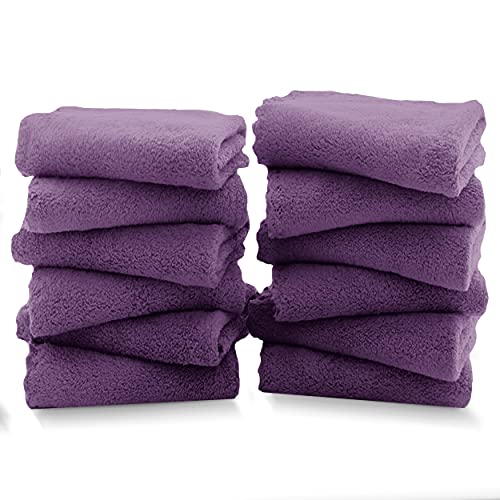 TENSTARS 12 Pack Premium Washcloths Set - Quick Drying- Soft Microfiber Coral Velvet Highly Absorbent Wash Clothes - Multipurpose Use as Bath, Spa, Facial, Fingertip Towel (Grape Purple) - color: Grape Purple, size: 12 Piece Washcloths