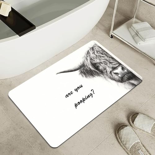 Bath Mat-Bathroom Rug，Highland Cow Prank Non Slip Quick Dry Stain Resistant Easy to Clean Care Shower Rug for Bathtub Shower Room 16×24Inch (40 * 60cm) - color: Highland Cow Prank, size: 16 x 24 inches