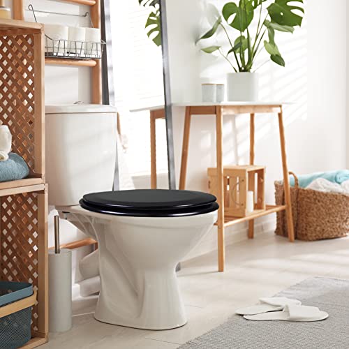Design House Dalton Round Toilet Seat, Black | Surface, Traditional, Wood, Hardware, 561241-BLK - color: Black