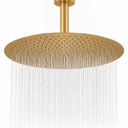Gold Rain Shower Head, 16 Inch High Pressure Shower Head, 304 Stainless Steel Ceiling Mount Extra Large Waterfall Top Showerhead, Brushed Brass Gold - color: Brushed Brass Gold, size: 16-Inches, style: Round
