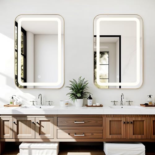 SDHYL LED Bathroom Mirror Medicine Cabinet with 3-Color Dimmable Lights, 2-Tier Adjustable Shelves, Wall Mounted Storage for Small/Modern Bathroom (Gold) - color: Gold-rectangle-led, size: 24x16 inch