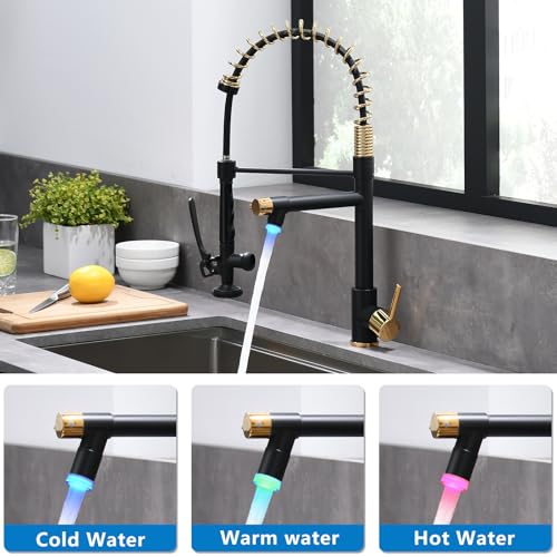 Fapully LED Kitchen Faucet with Pull Down Sprayer,Black&Gold | Commercial Kitchen Faucet for Kitchen Sink - color: Black&Gold, style: Modern