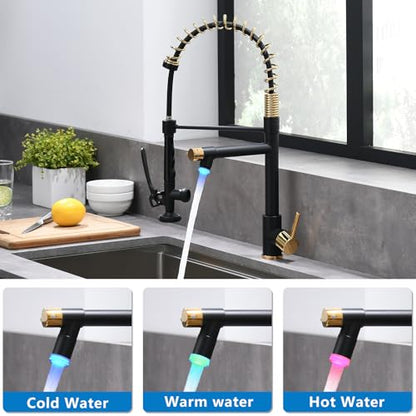 Fapully LED Kitchen Faucet with Pull Down Sprayer,Black&Gold | Commercial Kitchen Faucet for Kitchen Sink - color: Black&Gold, style: Modern