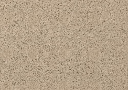 Home Expressions Non Slip with Suction Cups Loofah Bathmat 27"x15" & 29.5"X16.9", PVC Loofah Bathroom Mats, Loofah Mats for Shower and Bathroom, Quick Drying, (Beige 29.5"X16.9") - size: BEIGE 29.5"X16.9"