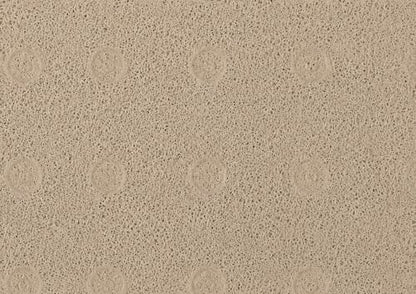 Home Expressions Non Slip with Suction Cups Loofah Bathmat 27"x15" & 29.5"X16.9", PVC Loofah Bathroom Mats, Loofah Mats for Shower and Bathroom, Quick Drying, (Beige 29.5"X16.9") - size: BEIGE 29.5"X16.9"