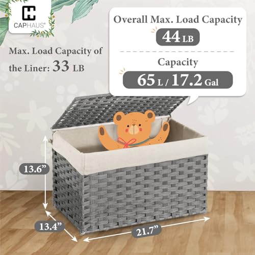 CAPHAUS Laundry Basket with Lid & Handles, Foldable Clothes Hamper, Large 65L Synthetic Rattan Storage Bin with 2 Removable Liner Bags, Collapsible Laundry Hamper, Grey - color: Grey, size: 17.2 Gal (65L)
