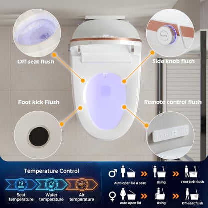 TOTTE Smart Toilet with Bidet Built In, Foam Dispenser, Auto/Close Lid, Foot Kick & Off-seat Auto Flush, Heated Seat, Warm Water & Dryer, Blackout Flush, Digital Display with Remote (949B Gold) - color: 949B Gold