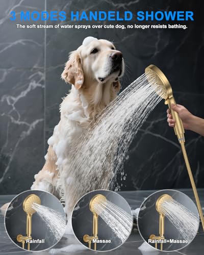 Shower System with Pressure Balance Valve, 10" Ceiling Mount Shower Faucet Set with 2 Rain Shower Head And Multi-function Handheld Head Push Button Diverter Pressure Balancing Valve Kit, Brushed Gold - color: Brushed Gold, style: 10"-Round