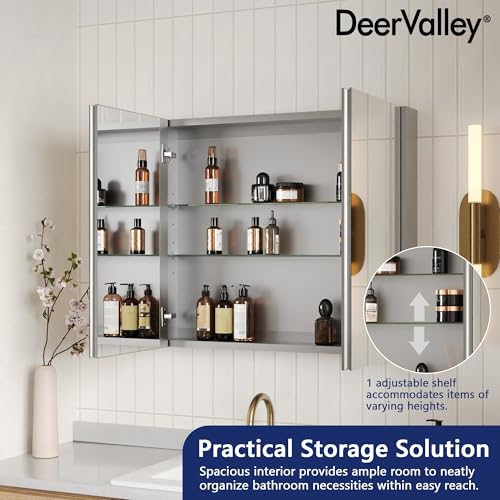DeerValley 26'' x 30'' Medicine Cabinet with Mirror, Bathroom Mirror with Storage, Surface Frameless Modern Wall Mount Mirrored Medicine Cabinets with Adjustable Shelf DV-1MC0363 - size: 26" x 30"