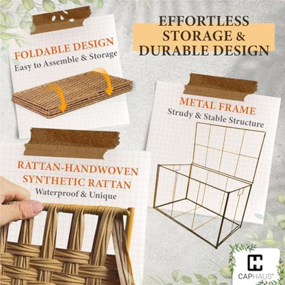 CAPHAUS Laundry Basket with Lid & Handles, Foldable Clothes Hamper, Large 65L Synthetic Rattan Storage Bin with 2 Removable Liner Bags, Collapsible Laundry Hamper, Brown - color: Brown, size: 17.2 Gal (65L)